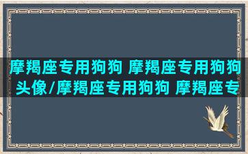 摩羯座专用狗狗 摩羯座专用狗狗头像/摩羯座专用狗狗 摩羯座专用狗狗头像-我的网站